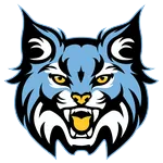 Sky View logo